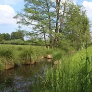 L'automne aux Tourbières