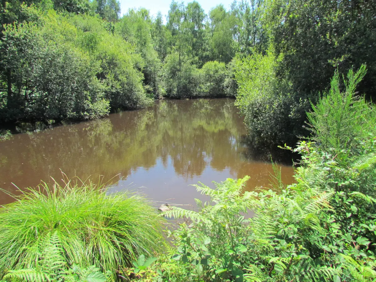 L’avenir de l’eau en Périgord-Limousin