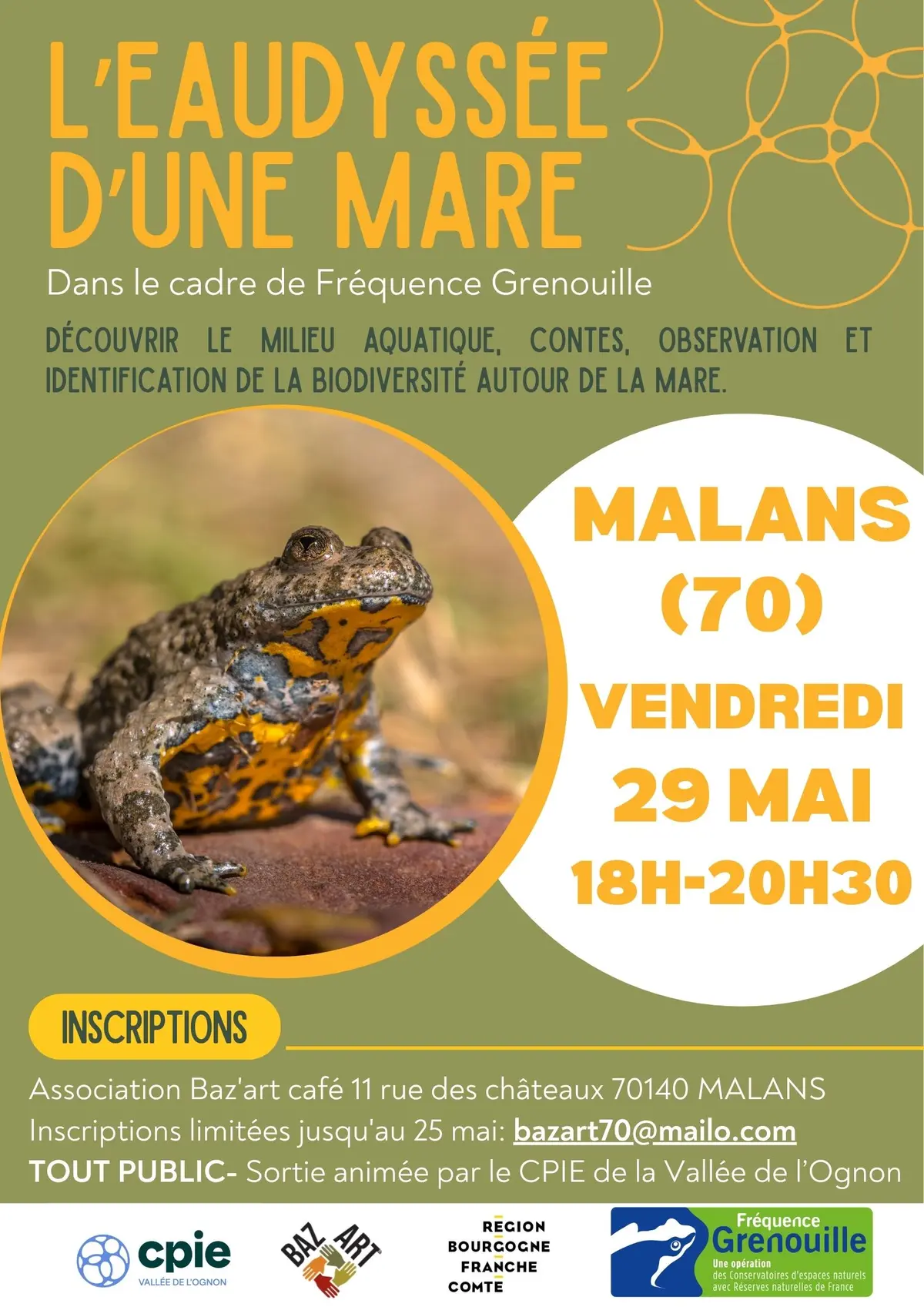 L'eaudyssée d'une mare