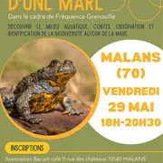 L'eaudyssée d'une mare