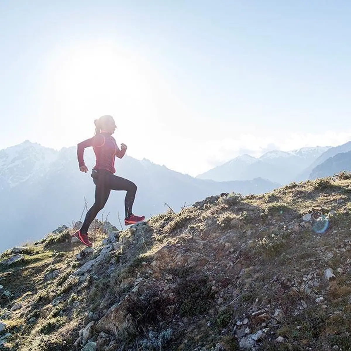 L'Enfer De Roqueprins