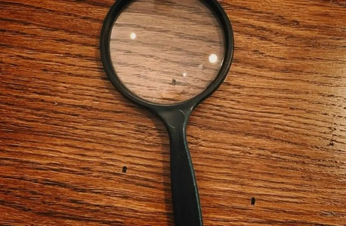 L’enlumineur Disparu : Coup De Pinceau Dans Le Dos !