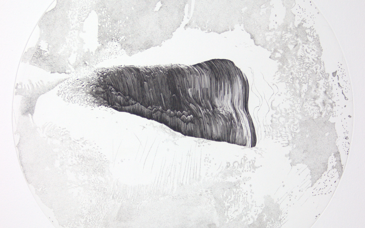 Catherine Gillet - La nature des choses IV - burin - 80x60cm