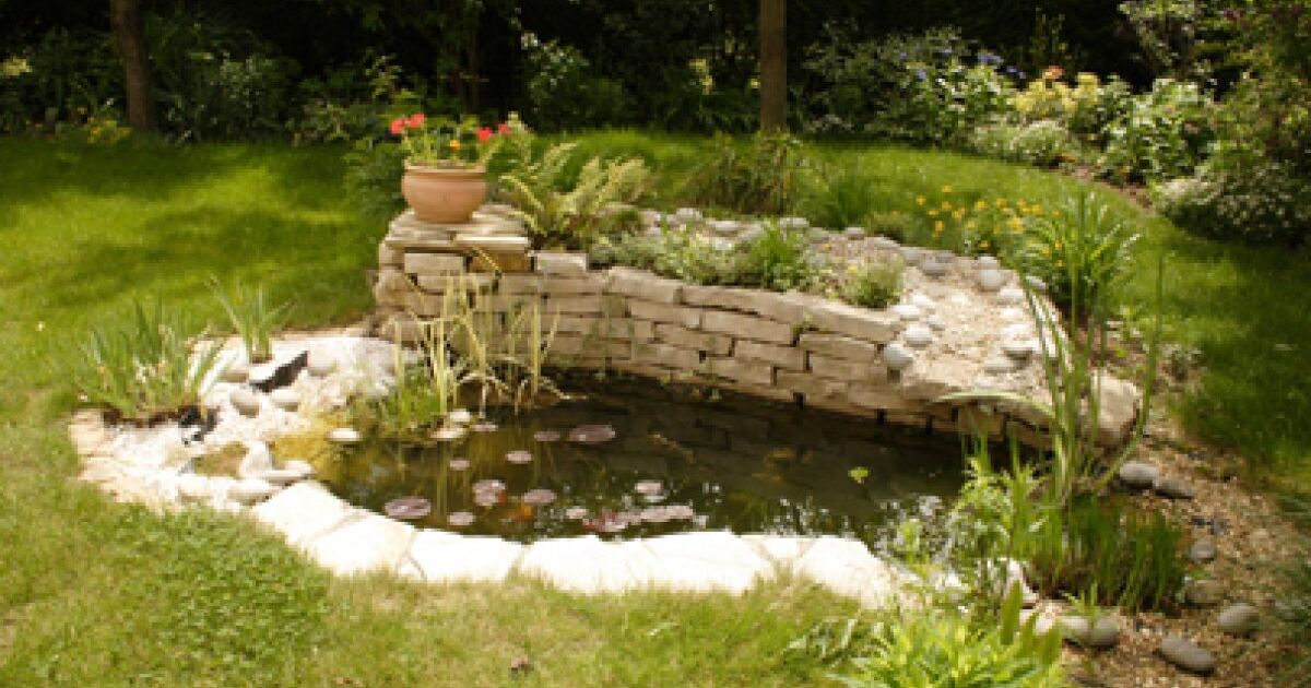 bassin poisson exterieur