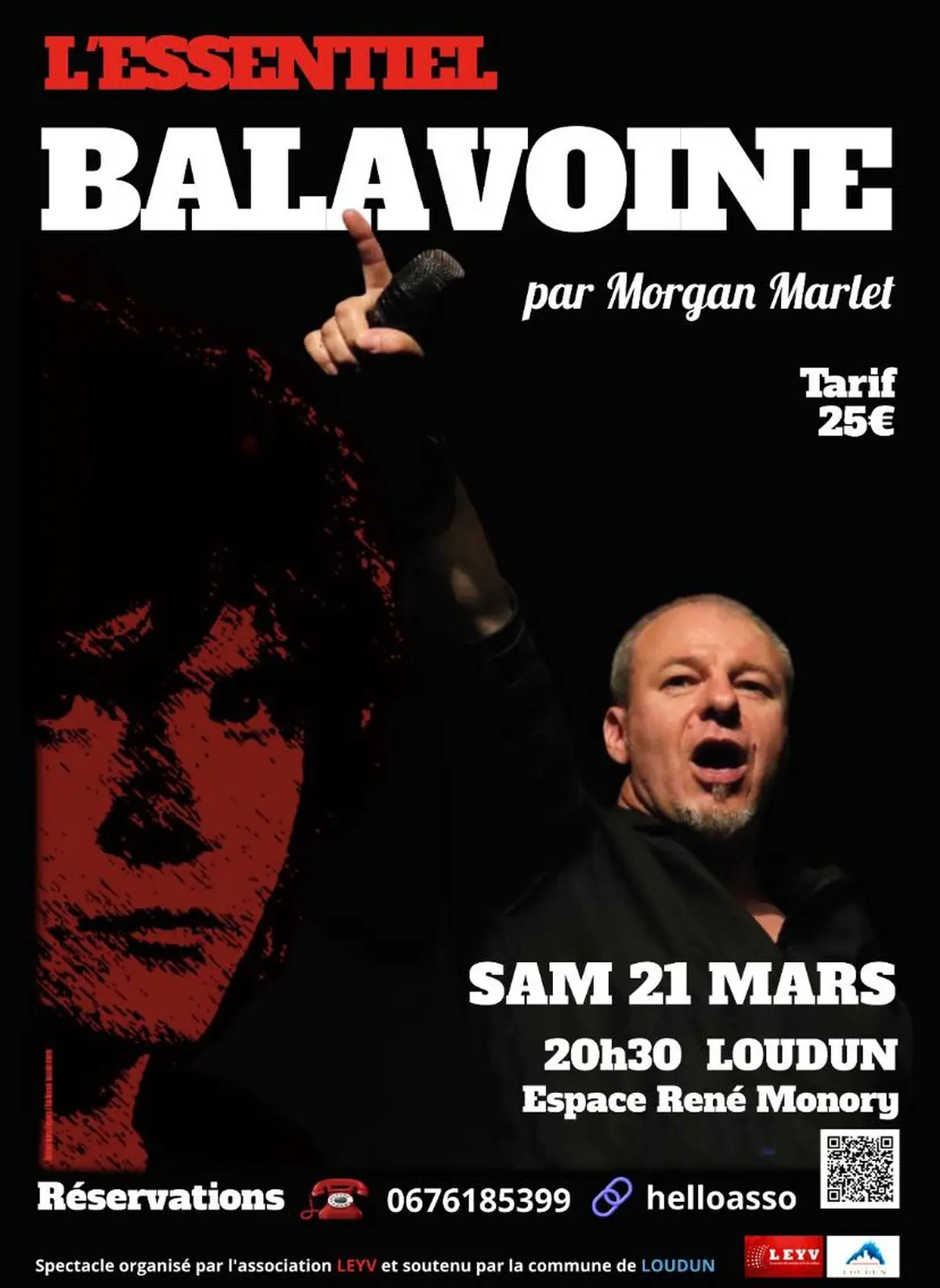 L'Essentiel Balavoine