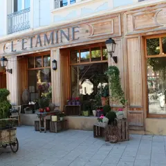 L'étamine 