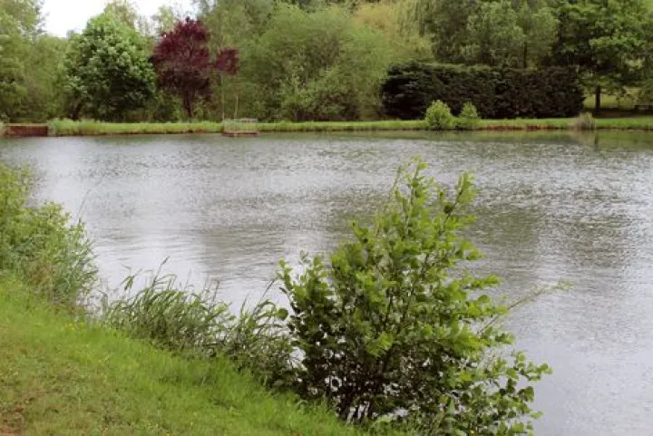 L'étang de Schweighouse