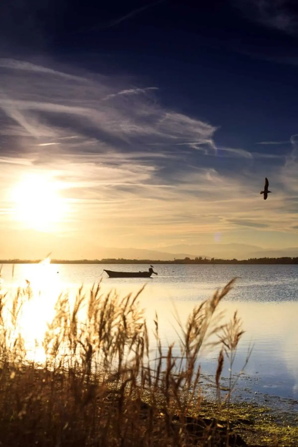 L'Etang Et Le Village De Pêcheurs