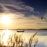 L'Etang Et Le Village De Pêcheurs