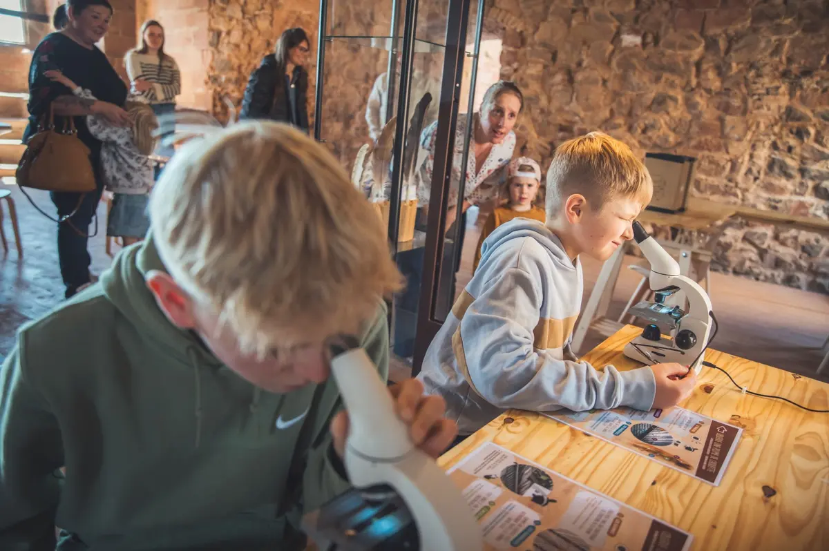 Apprenez en plus sur les rapaces dans la salle pédagogique