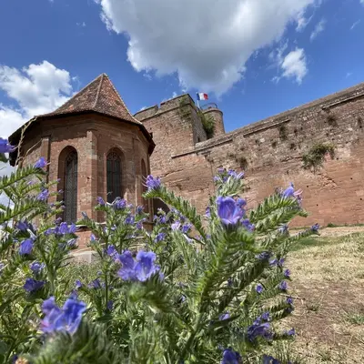 L'été au château de Lichtenberg : animations, visites et soirées
