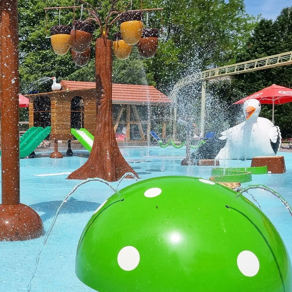 L'été au parc Cigoland !