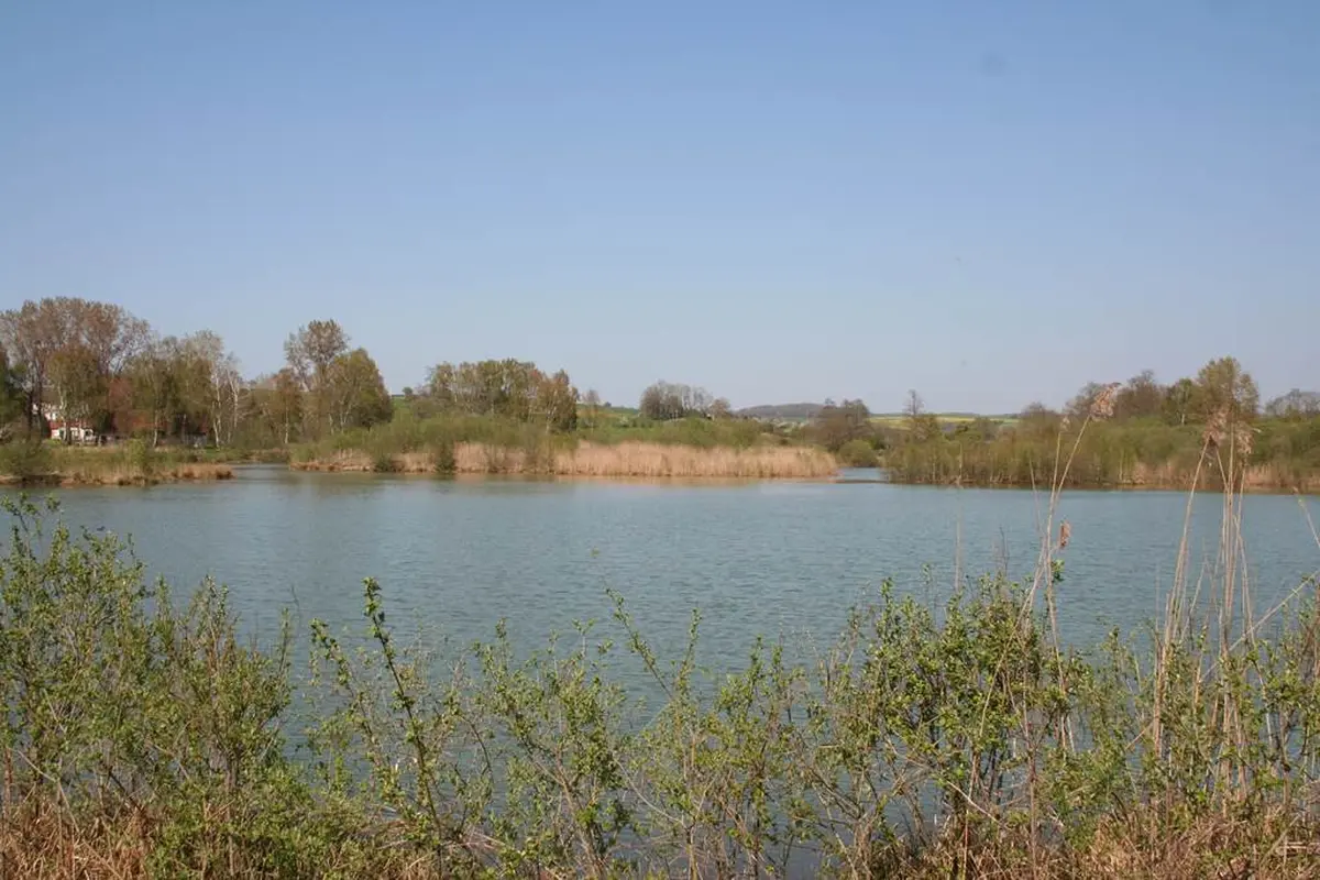 L'été aux Tourbières