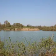 L'été aux Tourbières