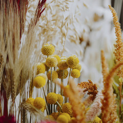L'été de l'Office : Composition de fleurs séchées