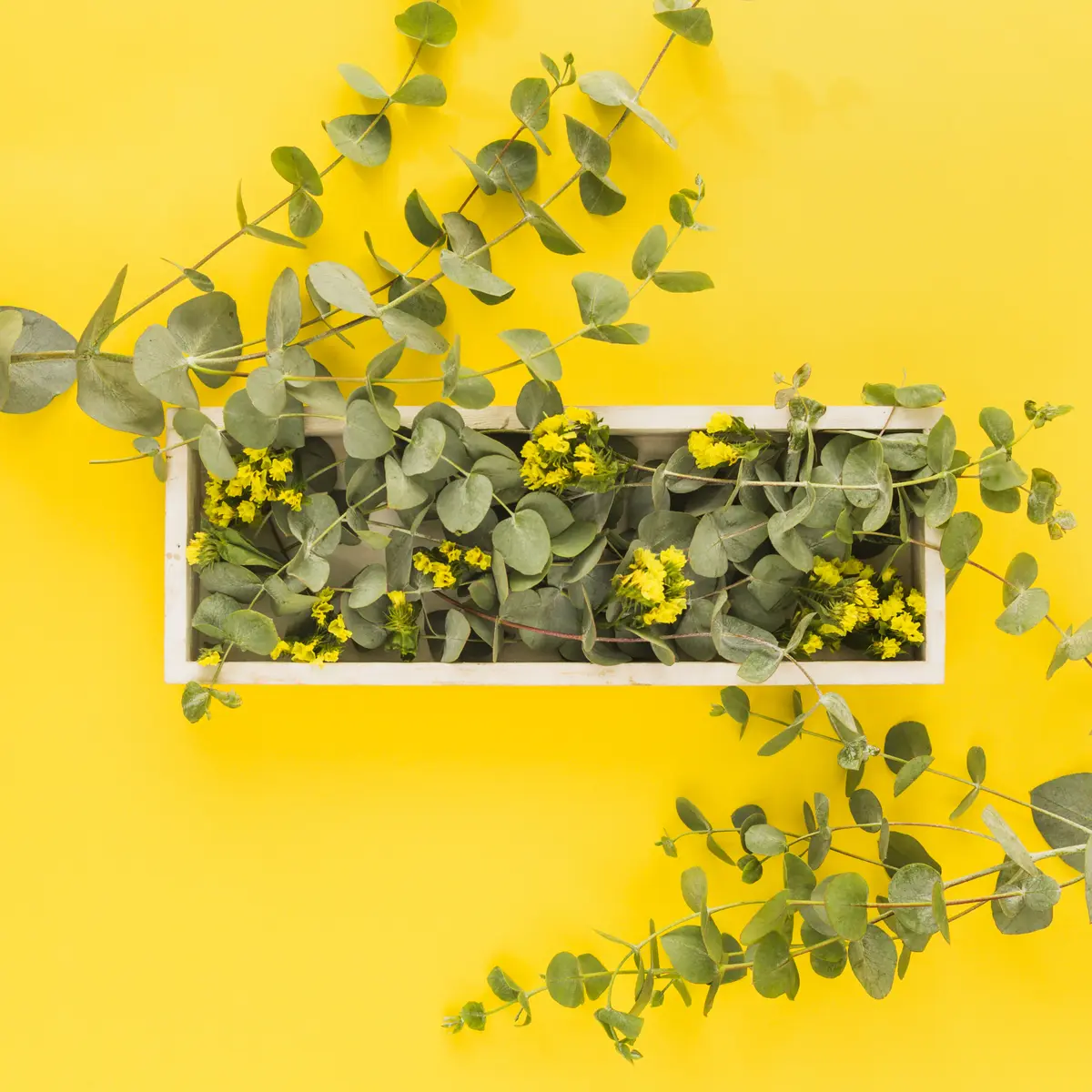 L'été de l'Office : Composition de plantes avec création de support