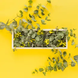 L'été de l'Office : Composition de plantes avec création de support