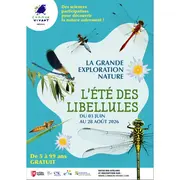 L'été des libellules