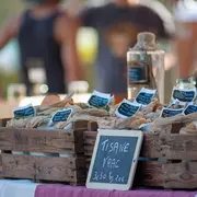 L'été des Simples, 7ème édition