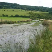 L'été en vallée de la Meuse, focus sur la noue