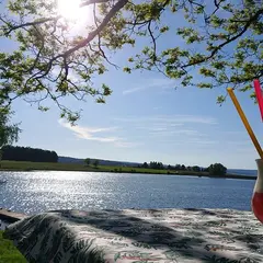 L'été Musical De L'Oasis Plage
