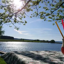 L'été Musical De L'Oasis Plage