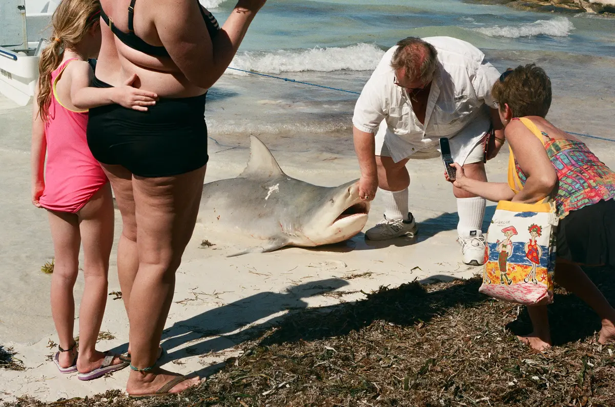 L'étincelle de l'aube