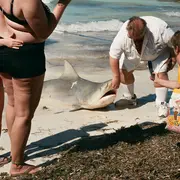 L'étincelle de l'aube