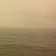 L'eutierrie - Résonances du vivant