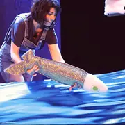 L'éveil de la plume