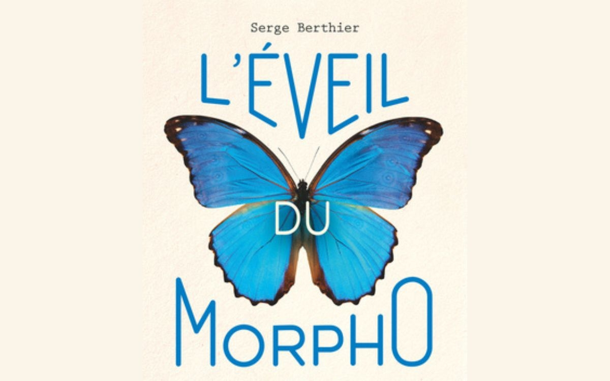 L'éveil du Morpho : bio-inspirez-vous !