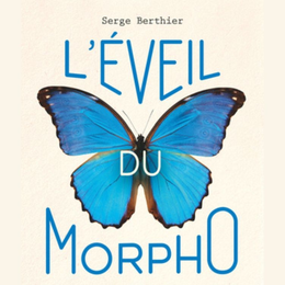 L'éveil du Morpho : bio-inspirez-vous !