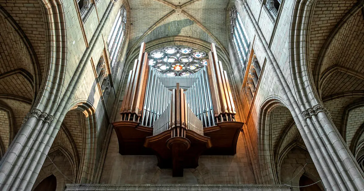 L'Heure Musicale de la cathédrale de Limoges - Concerts d'orgue