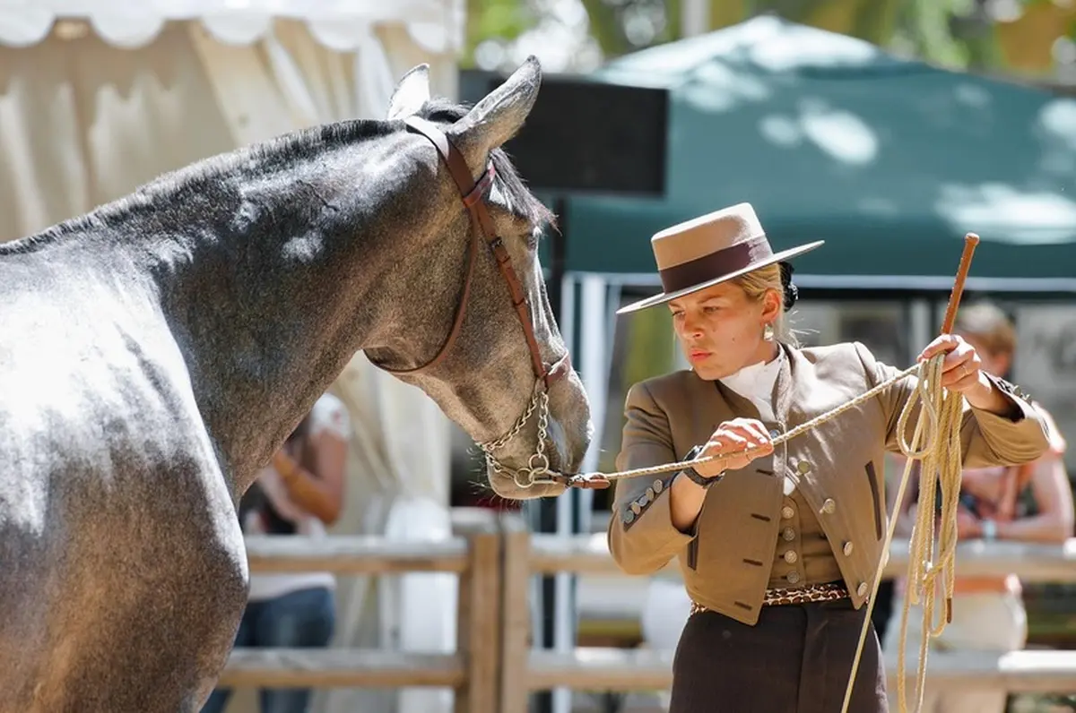 L'hippodrome de Langon fait son show