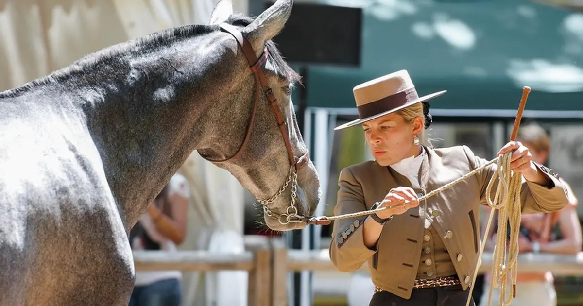 L'hippodrome de Langon fait son show