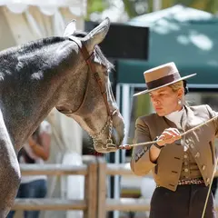 L'hippodrome de Langon fait son show
