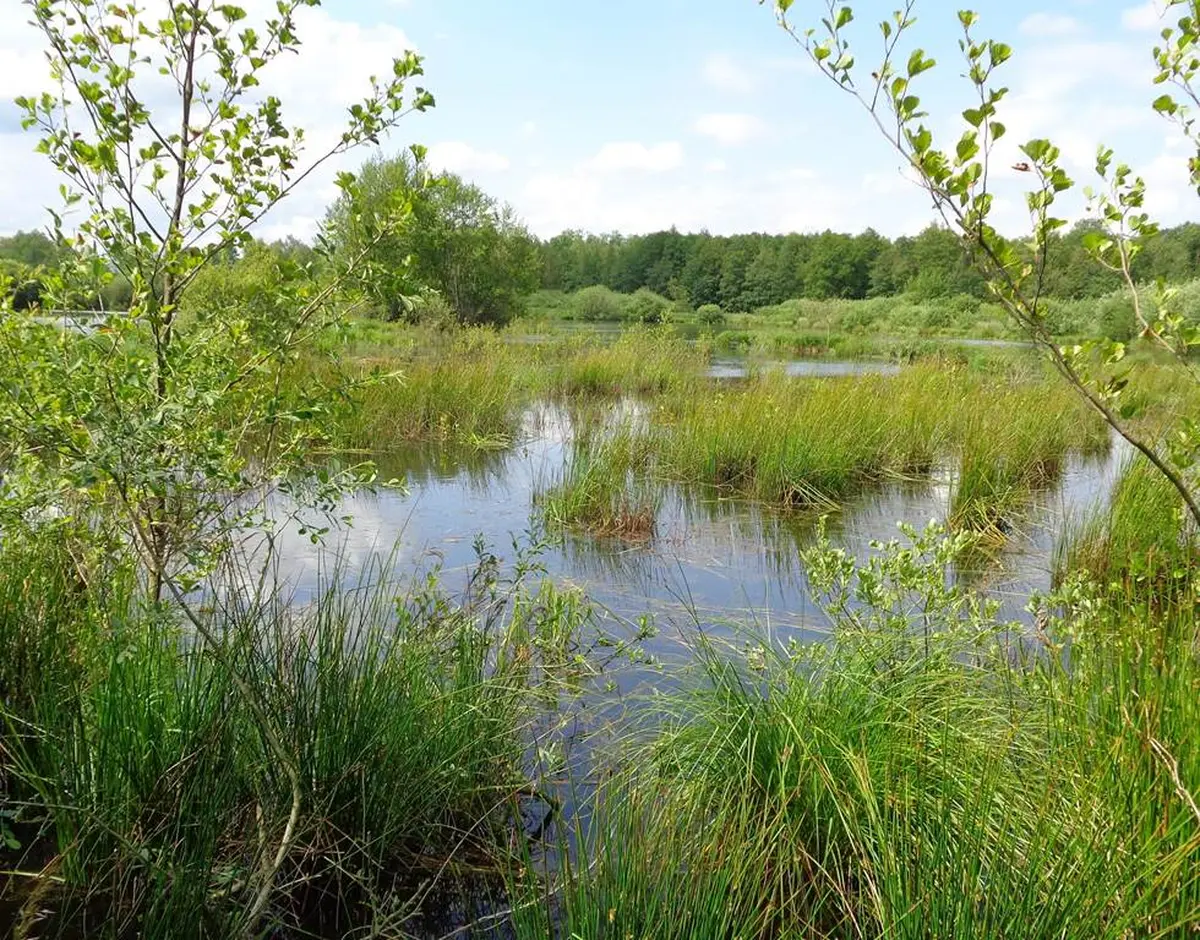 L'hiver aux Tourbières