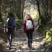 L'hivernal du lac : randonnée