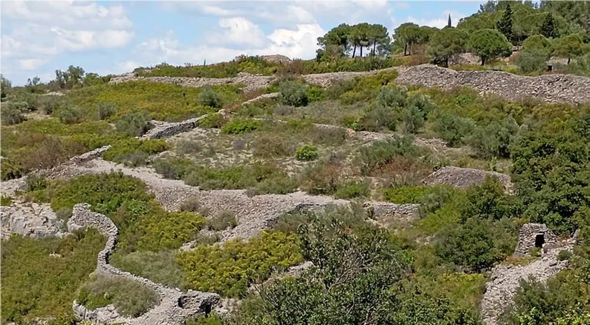 L’homme Et La Pierre Sur La Ramasse