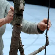L'Homme Qui Plantait Des Arbres