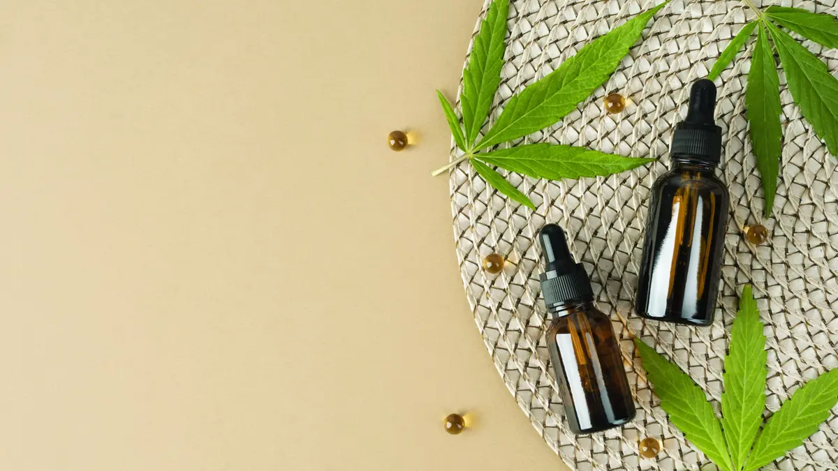 L’huile de chanvre, douce et régénérante