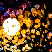 L'Hypnose S'Invite Dans Votre Salle - Hypnose Au Cinema