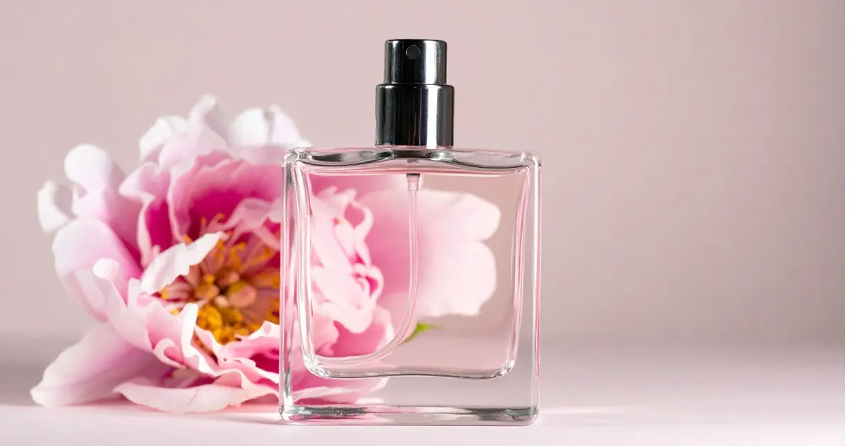 L’IG Absolue Pays de Grasse