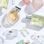 L’IG Absolue Pays de Grasse, patrimoine vivant de la parfumerie française