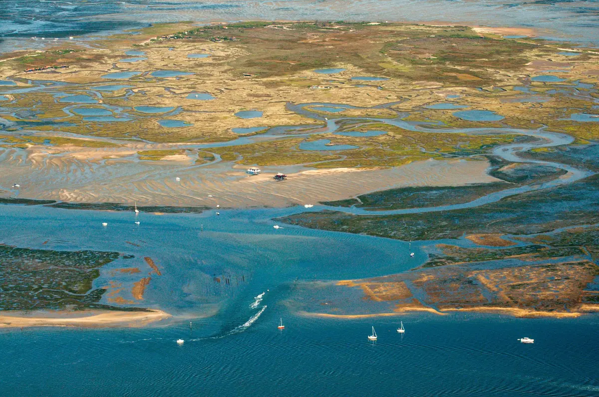 L’Île aux Oiseaux - Bassin d’Arcachon