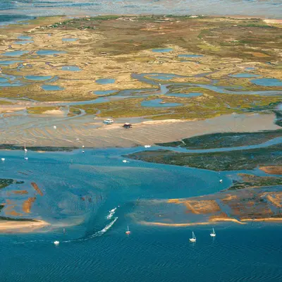 L’Île aux Oiseaux - Bassin d’Arcachon