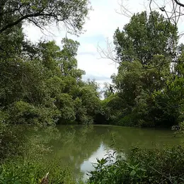 L’Ile de Rhinau