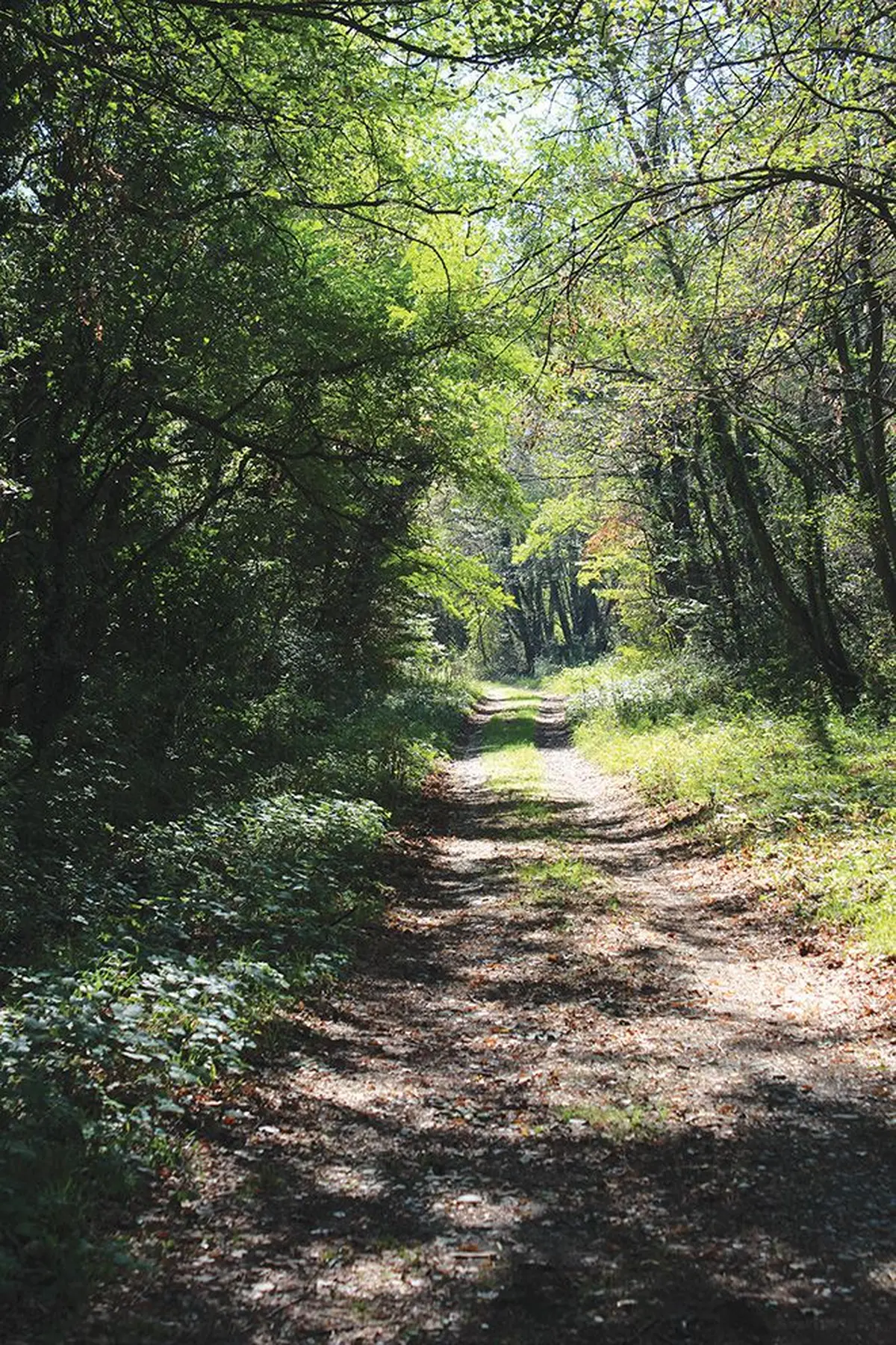 Garantir la biodiversité