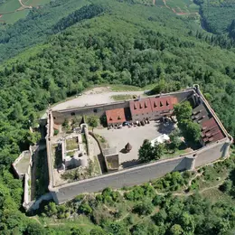 5 châteaux alsaciens et leur nouvelle vie !