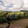 [Coup de ❤️ JDS] L'Infernal Trail des Vosges 2026